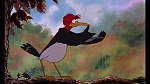 Fox and the Hound picture