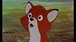 Fox and the Hound picture