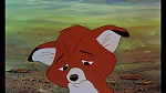 Fox and the Hound picture