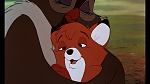 Fox and the Hound picture