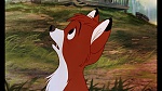 Fox and the Hound picture