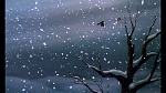 Fox and the Hound picture