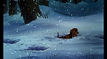 Fox and the Hound picture