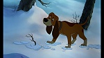 Fox and the Hound picture