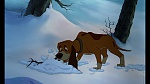 Fox and the Hound picture
