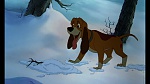 Fox and the Hound picture