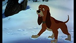 Fox and the Hound picture