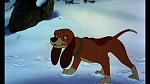 Fox and the Hound picture