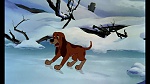 Fox and the Hound picture