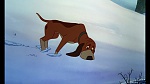 Fox and the Hound picture