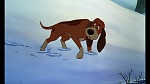 Fox and the Hound picture