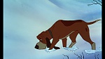 Fox and the Hound picture
