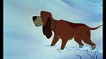 Fox and the Hound picture