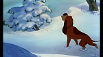 Fox and the Hound picture