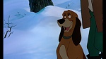 Fox and the Hound picture