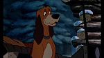 Fox and the Hound picture