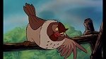 Fox and the Hound picture