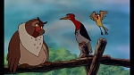Fox and the Hound picture