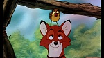 Fox and the Hound picture