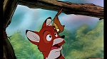 Fox and the Hound picture