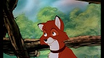 Fox and the Hound picture