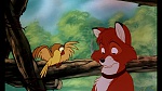 Fox and the Hound picture