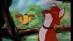 Fox and the Hound picture