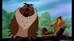 Fox and the Hound picture
