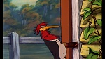 Fox and the Hound picture
