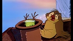 Fox and the Hound picture