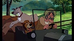 Fox and the Hound picture
