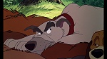 Fox and the Hound picture