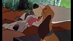 Fox and the Hound picture