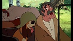 Fox and the Hound picture