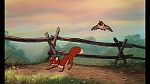 Fox and the Hound picture