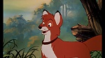 Fox and the Hound picture