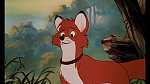 Fox and the Hound picture