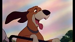 Image Fox and the Hound