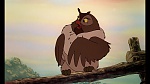 Fox and the Hound picture