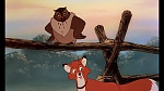Fox and the Hound picture