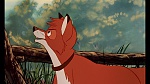 Fox and the Hound picture