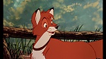 Fox and the Hound picture