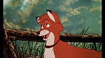 Fox and the Hound picture