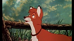 Fox and the Hound picture