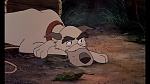 Fox and the Hound picture