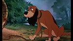 Image Fox and the Hound