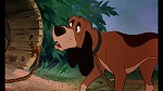 Fox and the Hound picture