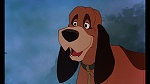 Image Fox and the Hound