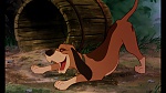 Fox and the Hound picture