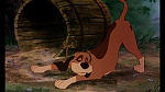 Fox and the Hound picture